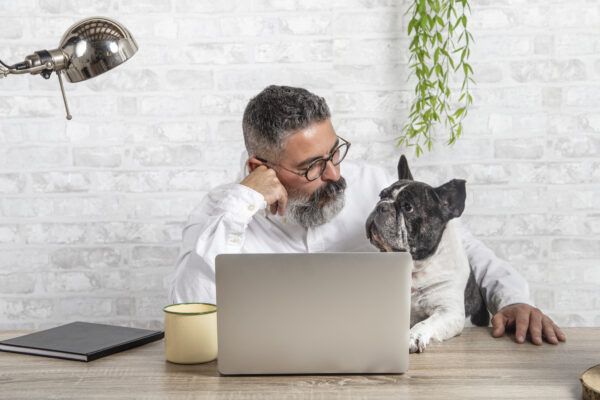 Veterinarian man considering tax moves from home with his dog sitting in the office. Man using a laptop at home with a cute dog